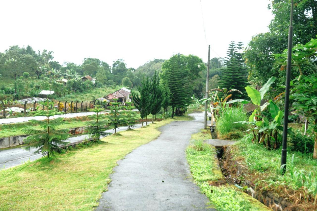 Tunjung Sari Villa Bedugul 贝都古 外观 照片
