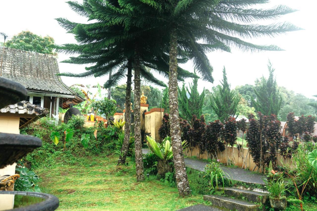 Tunjung Sari Villa Bedugul 贝都古 外观 照片